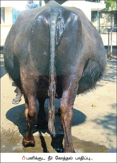 கருப்பையில் நீர்... கவனம்!