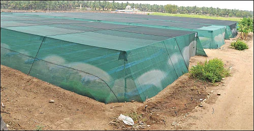 விவசாய மானியங்களைப் பெறுவது எப்படி?