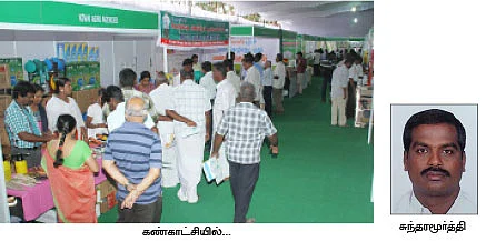 உருளைக்கிழங்கு, இருப்பு வேண்டாம்!