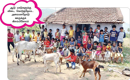 கோடையைக் கொண்டாடினோம்! - ‘நாற்றங்கால்’ திருவிழா