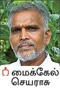 நல்மருந்து - தெரிந்த செடிகள்... தெரியாத பயன்கள்! - 19