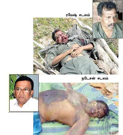 புலித்தடம் தேடி...