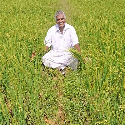பஞ்சகவ்யா - 9