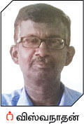 நீங்கள் கேட்டவை: நாற்று விட்டு நட்டால் நல்ல லாபம்!