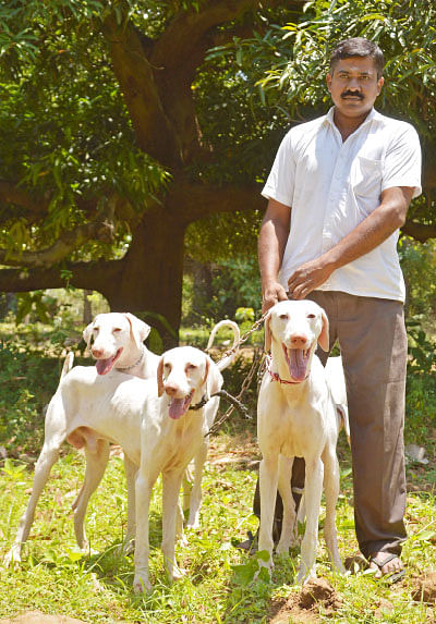 என் செல்லமே...