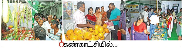 மண்ணுக்கேற்ற பயிர்... பயிருக்கேற்ற பாசனம்!