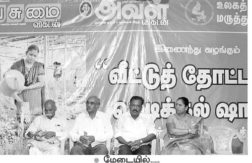 மூலிகைகள்தான் தாத்தா-பாட்டிகள்..!