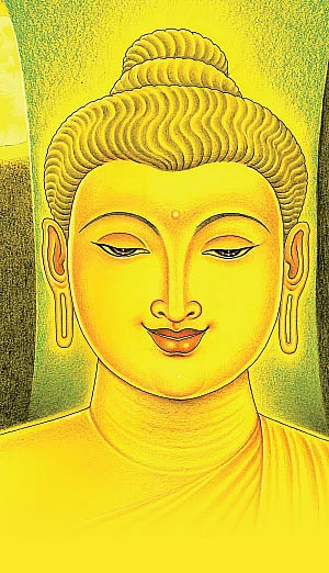 எது புத்தர்... மரமா, கல்லா?