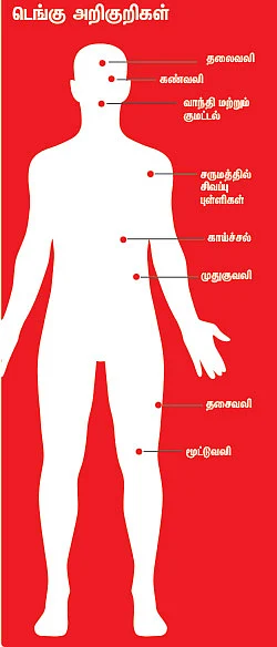 டெங்குவை பரப்பும் கொசுவின் வாழ்க்கை சுழற்சி