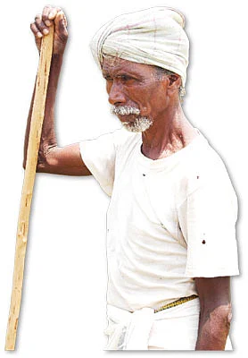 மாடு மேய்க்கப் போவோமா?