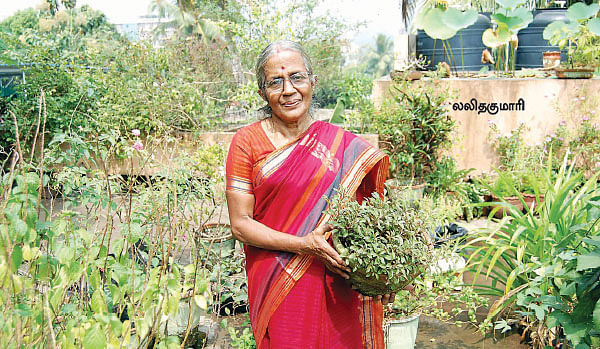 வீட்டில் மலரும் தாமரை !
