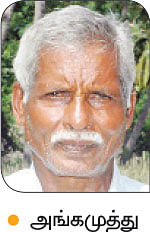நீங்கள் கேட்டவை: முறிந்த மா மரம், காய்க்குமா..?