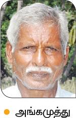 நீங்கள் கேட்டவை: முறிந்த மா மரம், காய்க்குமா..?