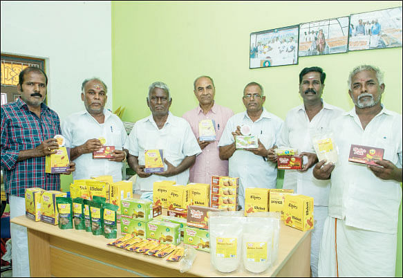 கொஞ்சம் ப்ளஸ்... நிறைய லாபம்! - இருமடங்கு வருமானம் தரும் வாழை! - 15
