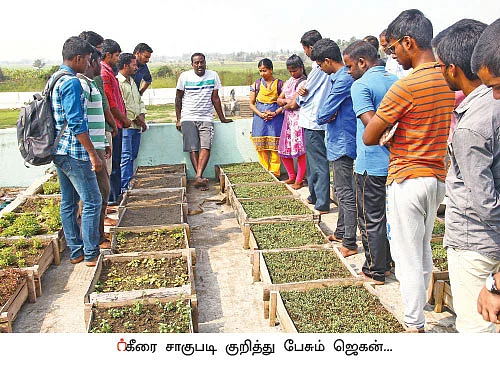 ஒரு நாள் விவசாயி! பருவம்-2 - அசத்தும் கீரை சாகுபடி!