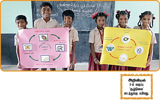 வண்ணத்துப்பூச்சியின் வாழ்க்கைச் சுழற்சி !