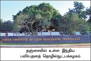 லாபத்தைப் பெருக்கும் லட்டுத் தொடர்...