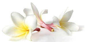 சத்தியப் பாதையில்..! - 3