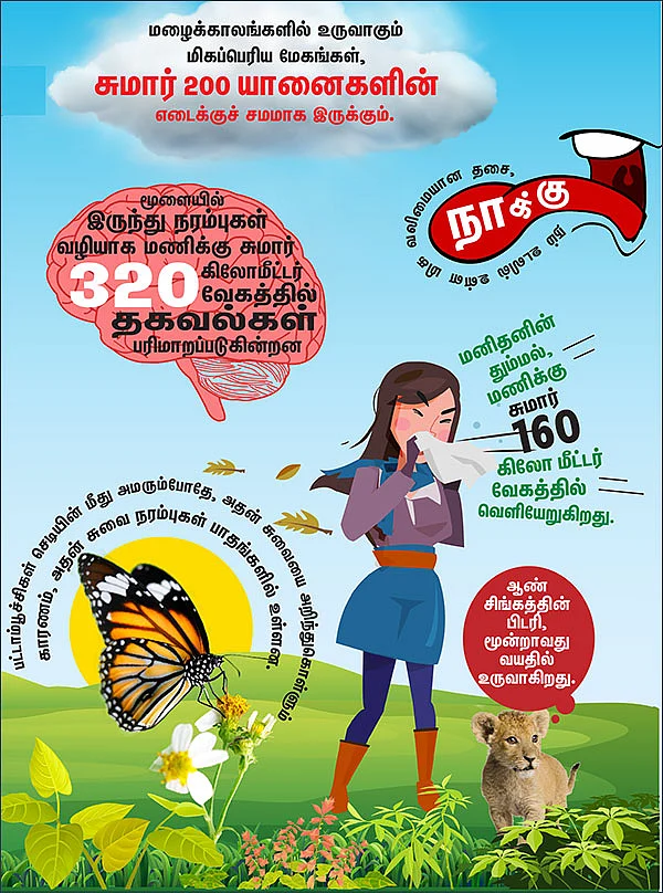 அறிவோம் 18