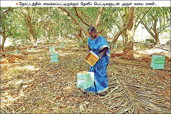 பணம் குவிக்கும் பண்ணைத்தொழில்கள் - 5 - ஒரே முறை முதலீடு... தொடர்ந்து ‘கொட்டும்’ வருமானம்!