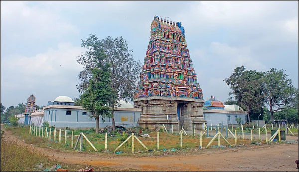 குறை தீர்க்கும் கோயில்கள் - 20 - சாமுண்டீஸ்வரி சந்நிதியில் விஷக்கடிக்கு வேர் சிகிச்சை!