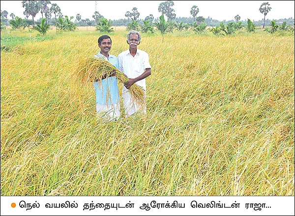 பூங்கார் கொடுத்த பரிசு! - 1 ஏக்கர்... 90 நாள்கள்... 1,813 கிலோ நெல் மகசூல்!