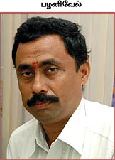 கொட்டிக் கொடுக்கும் கோலியஸ்... பணக் கிழங்கு!
