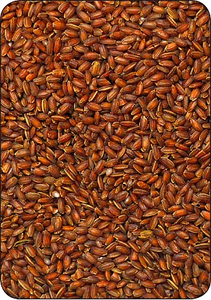 நலம் வாழ நல்ல சோறு!