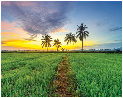 ராகு - கேது பெயர்ச்சி பொதுப்பலன்கள்