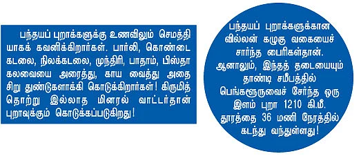 புறா... பற... பற!