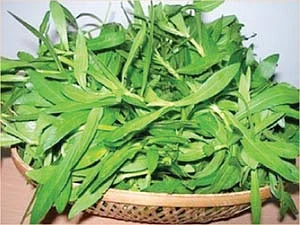 எந்தக் கீரையில் என்ன சத்து?