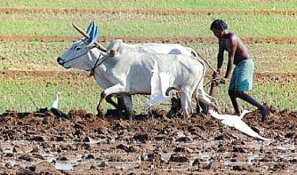 நீங்கள் கேட்டவை
