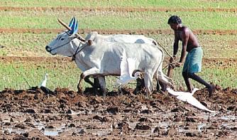 நீங்கள் கேட்டவை 
