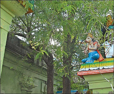 ‘இது யாக பூமி... யோக பூமி!’ - துங்காநதிக்கரையில் கம்பீரமாக எழும் நரசிம்மர் ஆலயம்!