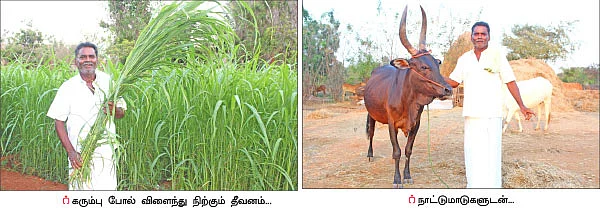 பஞ்சகவ்யா - 5