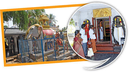 மணக்கால் அம்மனுக்கு தயிர் பாவாடை அலங்காரம்!