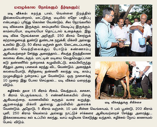 கொலைகார கோமாரி...இயற்கை முறையில் எளிய தீர்வு!