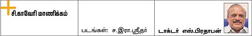நாய் நோய் ஜாக்கிரதை!