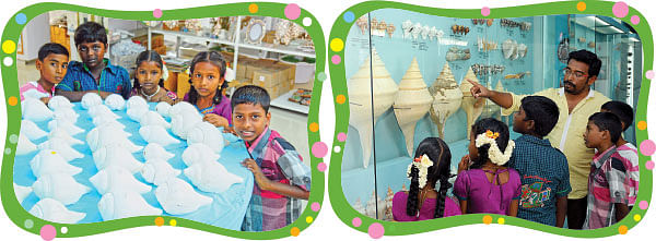 சிற்ப நகரத்தில் சங்குகள் சங்கமம்!