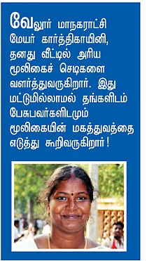 மலர், இலை, கலை!