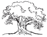 ஐயப்பனோடு ஐம்பது நாள்