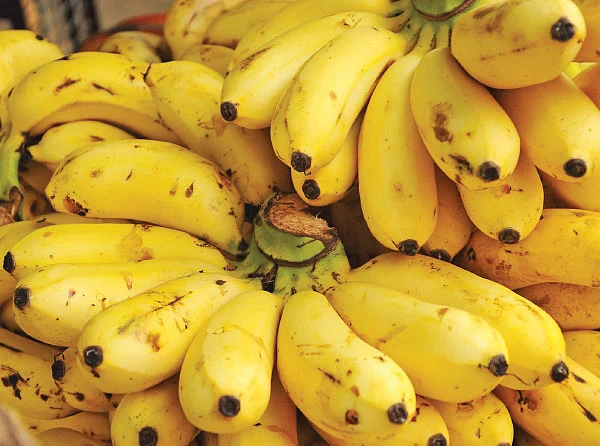 பூ, காய், கனி, தண்டு அத்தனையும் சத்து! வாழை ஸ்பெஷல்