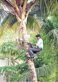 எந்திரன்களே வருக..!