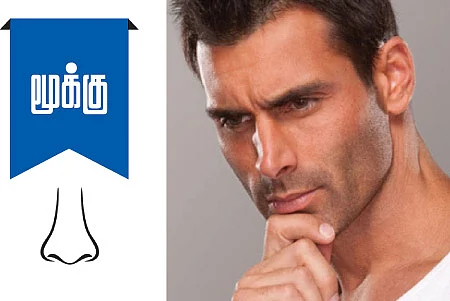 அழகோ அழகு!