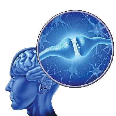 உச்சி முதல் உள்ளங்கால் வரை - வெர்ஷன் 2.0 - 20