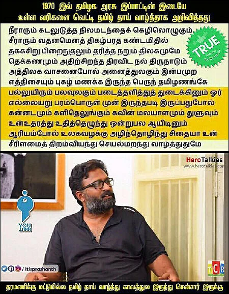 இவர்கள் நல்ல மீமர்கள்!