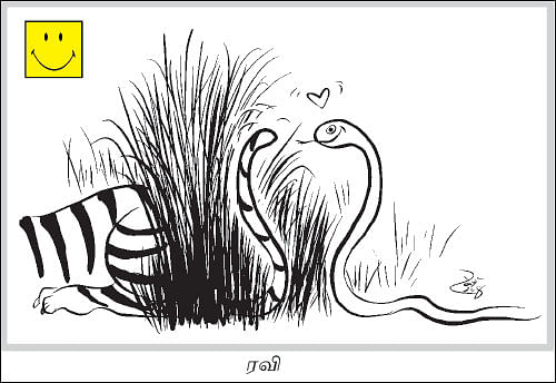Cartoon jokes