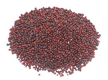 அஞ்சறை பெட்டியின் அற்புதம்