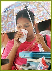 வெயிலின் கொடுமை மஞ்சளில் மறையும் !