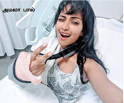 மிஸ்டர் மியாவ்
